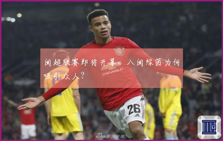 闽超联赛即将开幕，八闽绿茵为何吸引众人？